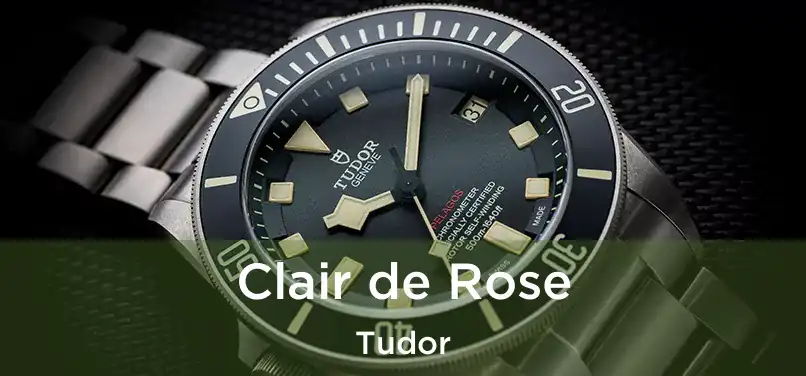  Clair de Rose Tudor
